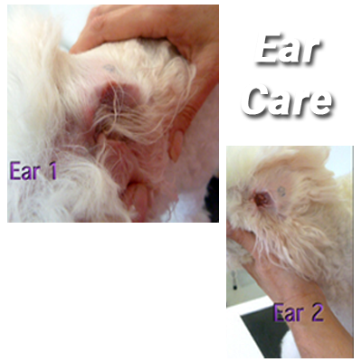 Ear Cleansing